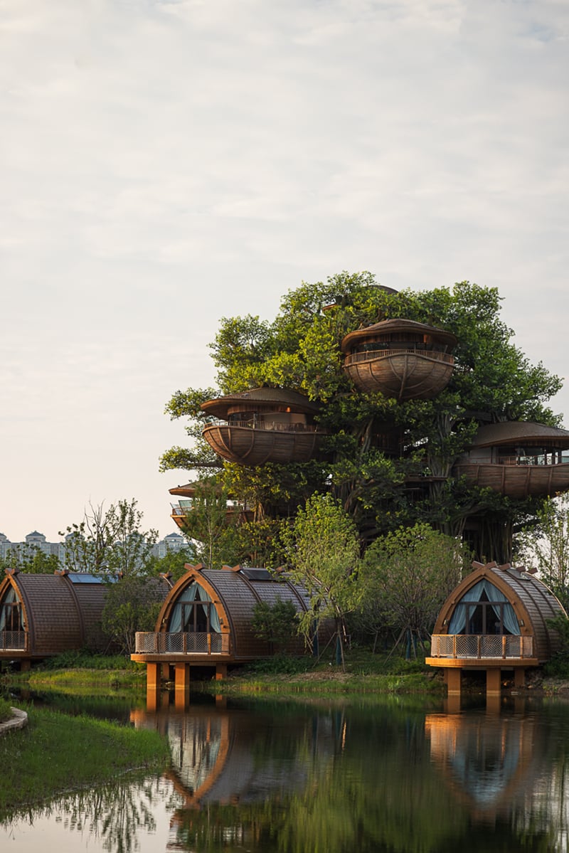 国际认可！武汉城建开元森泊度假乐园斩获2025伦敦设计奖铂金奖